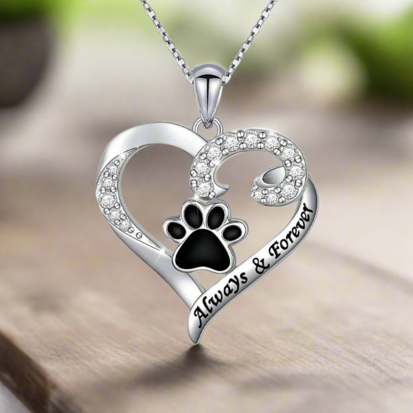 Collier pour chien en forme de patte - design en cœur en acier inoxydable avec zircon