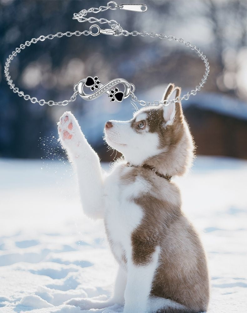 Pendentif symbole d'infini bracelet pour animaux de compagnie avec zircon