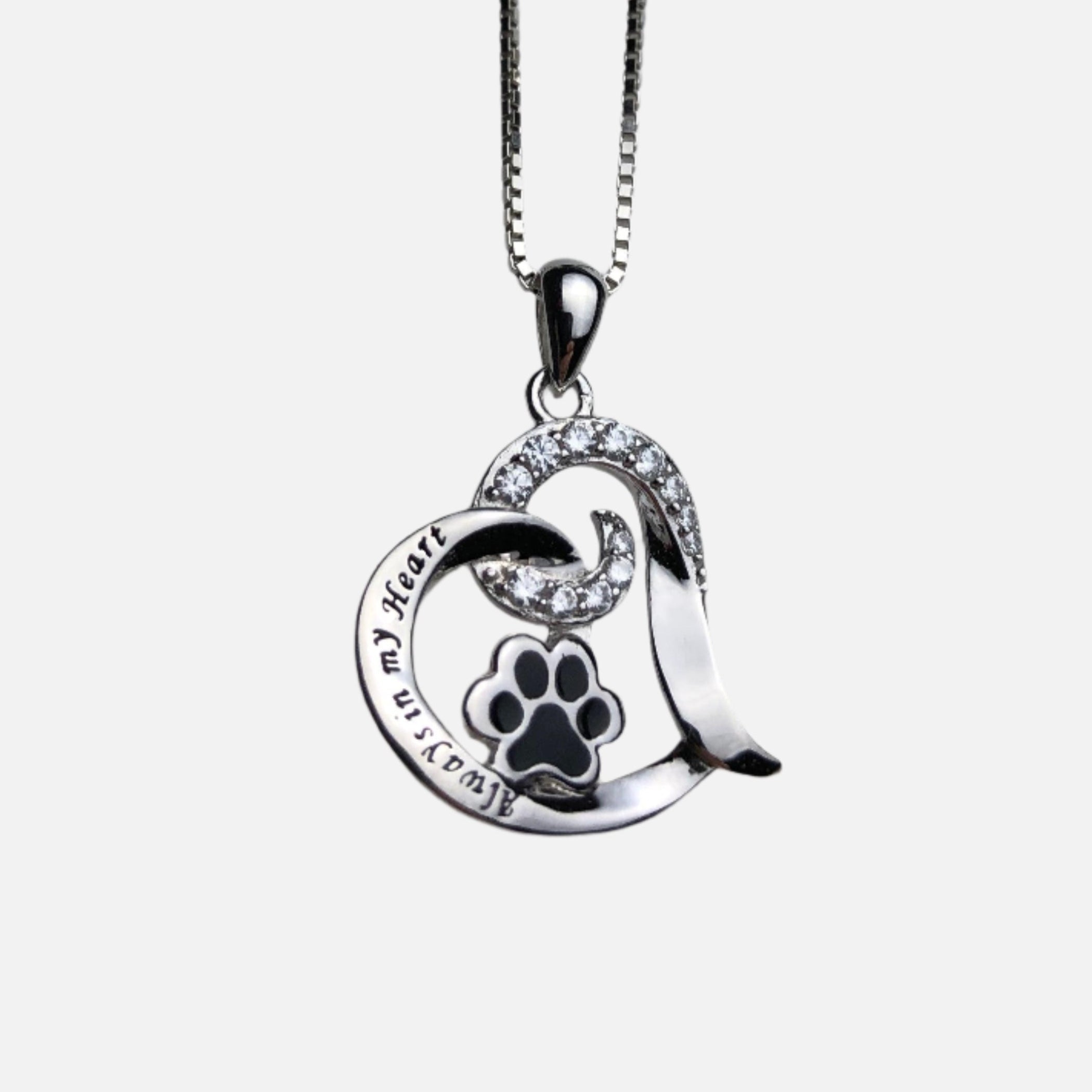 Collier en acier inoxydable en souvenir d'un chien élégant