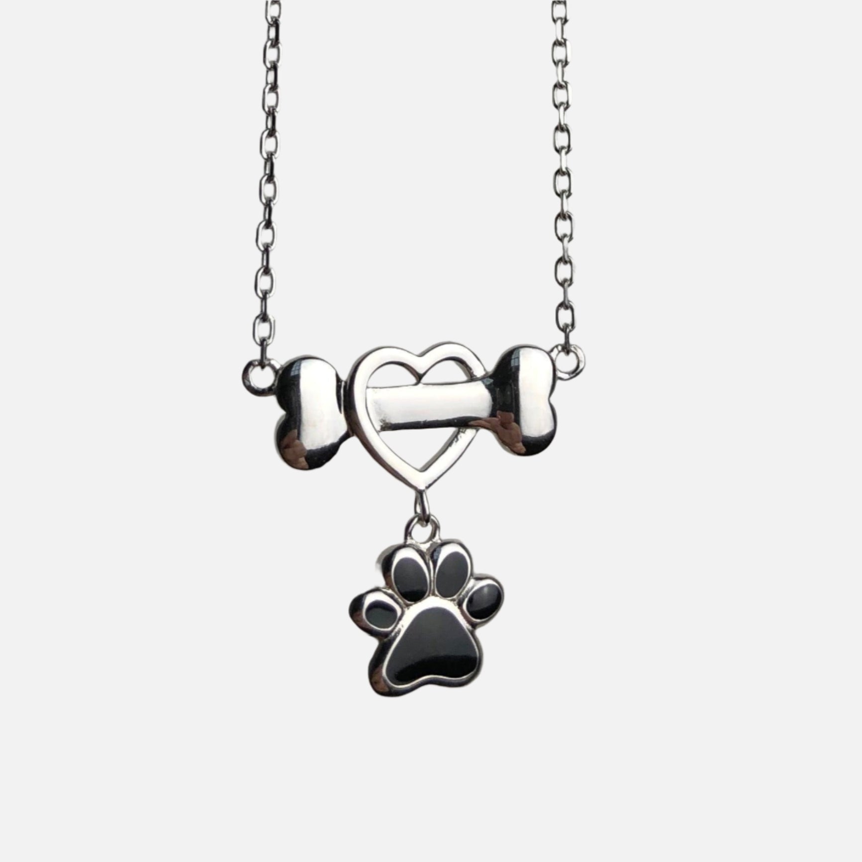 Collier en acier inoxydable en forme de patte de chien Siro