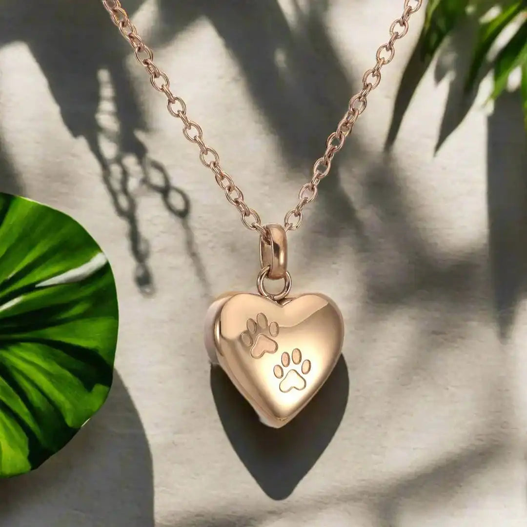 Collier Urne Souvenir Animal en Forme de Cœur Pendentif Gravé Patte
