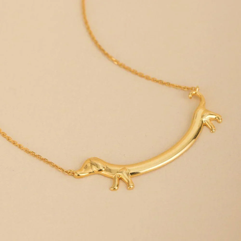 Collier de chien de chasse couleur dorée