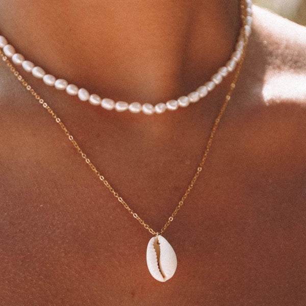 Collier pendentif en coquillage Cowrie