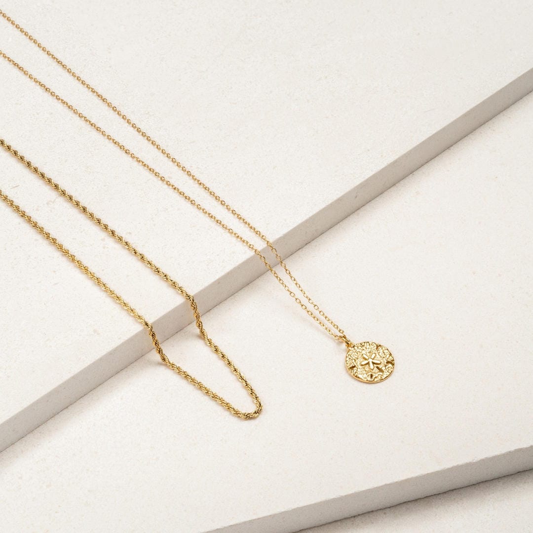 Collier Pendentif Sand Dollar