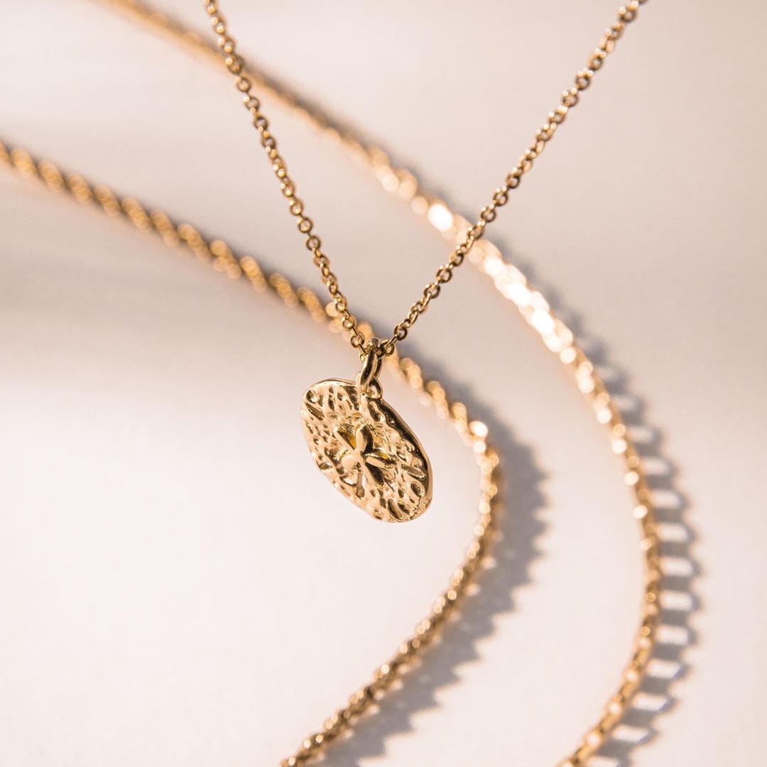 Collier Pendentif Sand Dollar